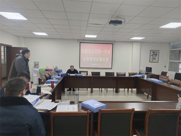 3月17日-3月26日雅眉乐公司召开2025年第一季度收费管理质量检查（王珏）.jpg
